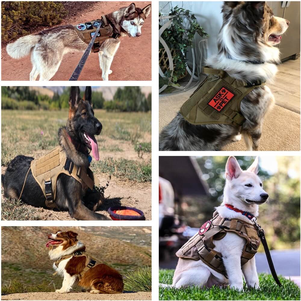 Tactical Training Vest Dog Harness and Leash Set For All Breeds Dogs 1000D-Tactical Accessories-Kublai-Kublai